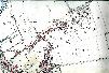 Ordnance survey map from St. John's Road to Spring Road